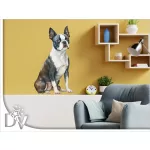 kutyás falmatrica Boston Terrier háziállatos