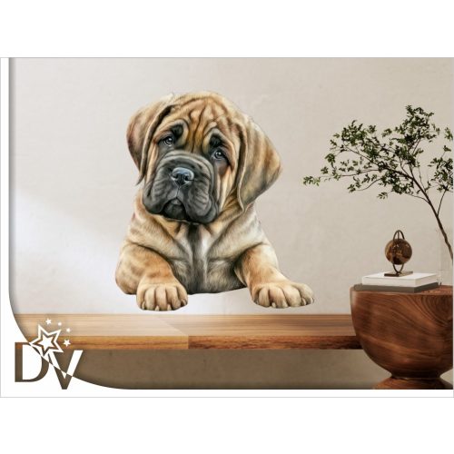 falmatrica kiskutya Mastiff kölyök kutyus gazdiknak