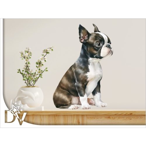 falmatrica kiskutya Boston terrier kölyök kutyus gazdiknak