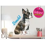 falmatrica kutya lakásdekoráció poppy Boston terrier kölyök