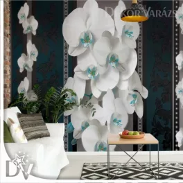   Fotótapéta - Luxus Virágos design Orchideákkal fekete-fehér