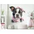 falmatrica kiskutya boston terrier kölyök rózsaszín masnival gyerekszobába