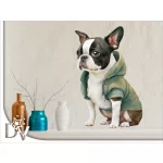 falmatrica kiskutya boston terrier kölyök fiús gyerekszobába