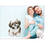 shihtzu kutyás falmatrica bútordekoráció