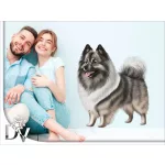 keeshond kutyás falmatrica bútordekoráció farkasspicc