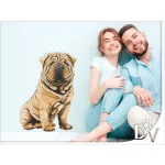 sharpei kutyás falmatrica bútordekoráció