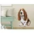 falmatrica kutya kutyus gazdiknak basset hound