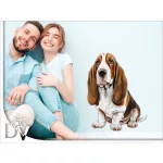 basset hound kutyás falmatrica bútordekoráció