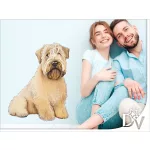 Ír lágyszőrű terrier kutyás falmatrica bútordekoráció