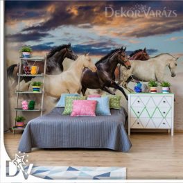 Fotótapéta - Galoppozó lovak