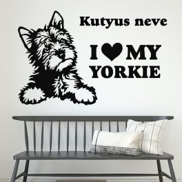 yorkie falmatrica